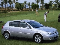 Golf, Opel Signum, Trawa