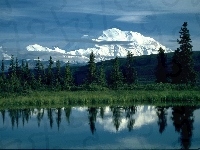 Góra, Alaska, Jezioro, Drzewa, McKinley