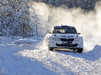 Rajd, Fabia, Skoda, Góra, Zima, Las