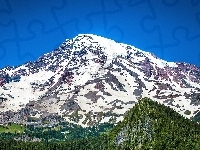 Góra, Wulkan, Mount Rainier, Lasy