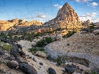 Stan Utah, Góry, Kamienie, Góra Pectols Pyramid, Stany Zjednoczone, Park Narodowy Capitol Reef, Rośliny