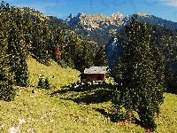 Góralski, Góry, Lasy, Domek