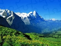 Góry, Łąka
