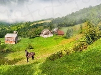 Góry, Mgła, Koń, Łąka, Lasy