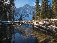 Alberta, Góra Mount Sarrail, Drzewa, Góry Canadian Rockies, Kanada, Kananaskis Country, Strumień