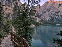 Dróżka, Góry, Świerki, Włochy, Jezioro Pragser Wildsee, Barierka