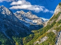 Chmury, Góry, Drzewa