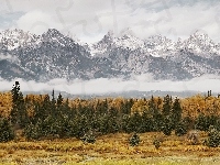 Śnieg, Dolina, Chmury, Góry, Las