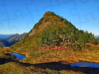 Doliny, Góry, Drzewa