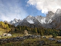 Drzewa, Góry, Chmury