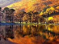 Drzewa, Góry, Jezioro