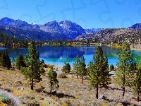 Góry, Jezioro, Drzewa, Kalifornia