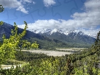 Drzewa, Góry, Kanada