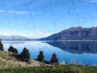 Góry, Nowa Zelandia, Jezioro, Drzewa, Hawea