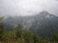 Góry, Drzewka