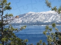 Góry, Kalifornia, Jezioro, Drzewo, Tahoe
