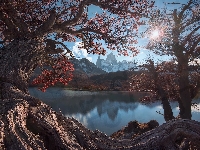 Promienie słońca, Jesień, Patagonia, Argentyna, Drzewa, Góry Andy, Góra, Gałęzie, Park Narodowy Los Glaciares, Fitz Roy