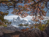 Patagonia, Argentyna, Drzewa, Góry Andy, Góra, Park Narodowy Los Glaciares, Jesień, Fitz Roy