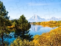 Góry, Wyoming, Drzewa, Jezioro, Grand Teton