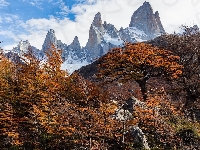 Drzewa, Patagonia, Argentyna, Góry, Skały, Jesień