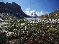 Góry, Szwajcaria, Łąka, Jeziorko, Matterhorn