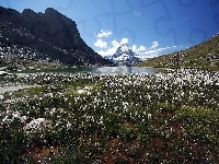 Góry, Szwajcaria, Łąka, Jeziorko, Matterhorn