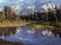Jeziorko, Góry, Las
