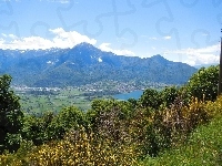 Jezioro, Góry, Drzewa