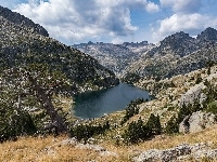 Jezioro, Góry, Drzewa