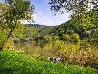 Jezioro, Góry, Drzewa