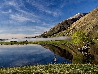 Jezioro, Góry, Drzewo
