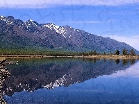 Jezioro, Góry, Las