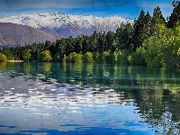 Jezioro, Góry, Las
