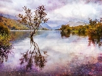 Jezioro, Góry, Las