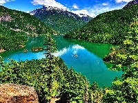 Jezioro, Góry, Las