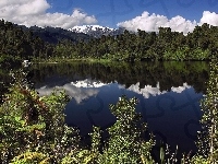 Jezioro, Góry, Las