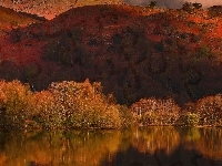 Jezioro, Góry, Las
