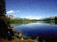 Jezioro, Góry, Las