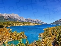 Jezioro, Góry, Lasy