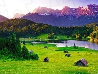 Jezioro, Góry, Trawa