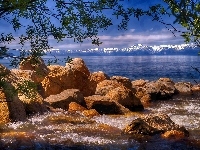 Lake Tahoe, Stany Zjednoczone, Drzewo, Kamienie, Gałęzie, Jezioro, Góry Sierra Nevada, Nevada
