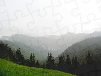 Góry, Las