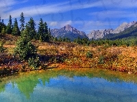 Las, Góry, Jeziorko