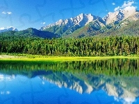 Las, Góry, Jezioro