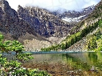 Las, Góry, Jezioro