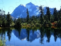 Las, Góry, Jezioro