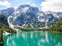 Las, Góry, Jezioro