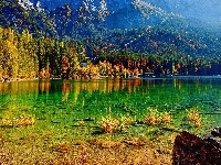 Las, Góry, Jezioro