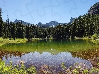 Góry, Jezioro, Las, Roślinność