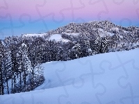 Śnieg, Las, Góry, Zima